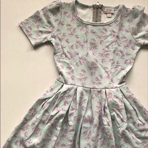 XXS LuLaRoe Amelia Dress